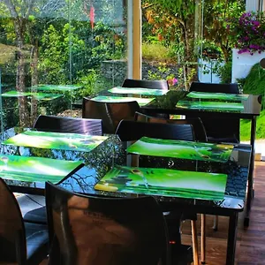https://casa-nube.hotels-munnar.com